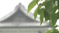 北陸が梅雨入り、21日にかけ警報級の大雨も…金沢城公園では「天候に左右されないアイデア」に驚き