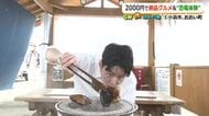 予算2000円で楽しむ福井の“コスパ旅”　月9ドラマの舞台と“万博ゆかり”スポットでお腹も遊びも大満足！