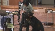 クマに遭遇した際の対応は？　相次ぐ出没…小学校でクマの生態など学ぶ　長野・伊那市