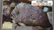 石垣の中に「サル」や「ぬりかべ」？米子城の“おもしろい石”をテーマにした写真展（鳥取）