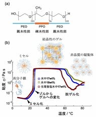 治療薬輸送高分子ミセルの生理食塩水中での相互作用を解明～生体内での治療薬輸送挙動の詳細予測が可能に