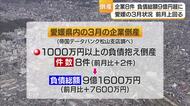 愛媛の３月の企業倒産８件　負債総額９億円超に　ともに前月上回る　中東情勢混乱で一進一退展開か【愛媛】