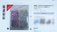 【注意】「ぷっくりかわいい」大人気シール“ボンドロ”爆発的ヒットの裏で高額転売やニセモノが流通