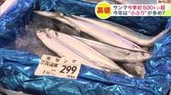 【サンマ今季初の500トン超水揚げ】「大きくなってきた」「大きいのはない」漁師の手ごたえは様々…店頭価格は1匹300円超で「手が出ない」という客も＿今後見通しは「大きな型のサンマ」に期待〈北海道〉