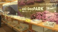 阿蘇カドリー・ドミニオン 観光案内所『よってこ!』オープン(熊本)