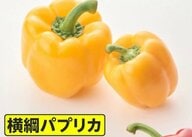 猛暑で注目「スーパーベジタブル」…肉厚でジューシー「横綱パプリカ」や“飲む血液”「ビーツ」　栄養価の高い“救世主”