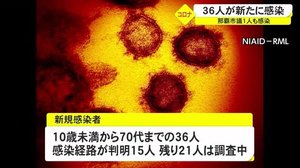 県内で新たに36人が新型コロナに感染