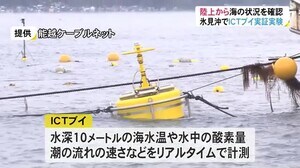 漁業者が陸上で海況確認可能…『ICTブイ』使った実証実験開始 養殖生簀付近の海水温や水中酸素量等計測