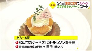 シイタケのまんじゅうも 県産品のスイーツを菓子店などで販売 23日からキャンペーン【愛媛】