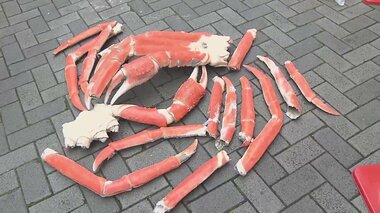 脚がバラバラに…大阪・ミナミで巨大カニ看板破壊される 社長「人間として許せない」男2人逃走中