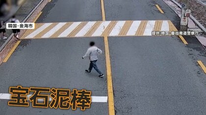 宝石泥棒を確保の瞬間　ネックレスつけたままダッシュで逃走　警察を手こずらせるも…最後に急展開　韓国