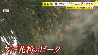 起床直後に花粉症の症状がつらい「モーニングアタック」　有効なのは空気清浄機より加湿器　重い症状には注射治療も　福岡