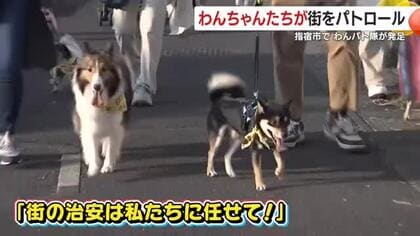 わんちゃん達が街をパトロール　指宿市でわんパト隊発足！