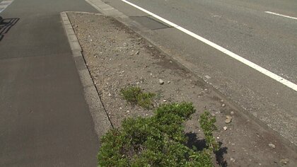 ビッグモーター元従業員「除草剤は上司の指示」 “会社のきれいさ”で評価点　福井でも街路樹が枯れる