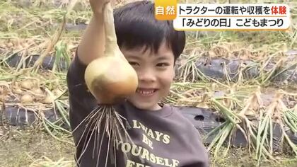 鹿児島・喜入のグリーンファームで「こどもまつり」　トラクター運転やソラマメ収穫を体験