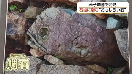 石垣の中に「サル」や「ぬりかべ」？米子城の“おもしろい石”をテーマにした写真展（鳥取）