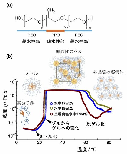 治療薬輸送高分子ミセルの生理食塩水中での相互作用を解明～生体内での治療薬輸送挙動の詳細予測が可能に