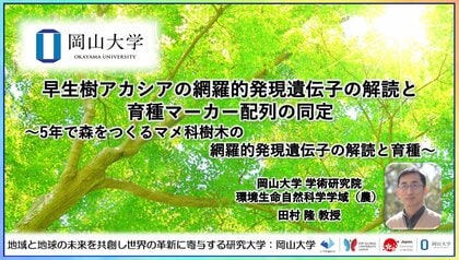 【岡山大学】早生樹アカシアの網羅的発現遺伝子の解読と育種マーカー配列の同定~5年で森をつくるマメ科樹木の網羅的発現遺伝子の解読と育種~