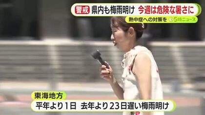 ハトも日陰で暑さをしのぎ… 静岡県内が梅雨明け 各地で猛暑日や真夏日を記録　今週は厳しい暑さ続く見通し