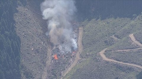 福岡・久留米市で山火事発生「草刈り中に機械から出火し杉に燃え移った」　消火活動続く…けが人確認されず