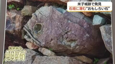 石垣の中に「サル」や「ぬりかべ」？米子城の“おもしろい石”をテーマにした写真展（鳥取）