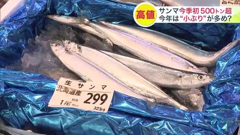 【サンマ今季初の500トン超水揚げ】「大きくなってきた」「大きいのはない」漁師の手ごたえは様々…店頭価格は1匹300円超で「手が出ない」という客も＿今後見通しは「大きな型のサンマ」に期待〈北海道〉