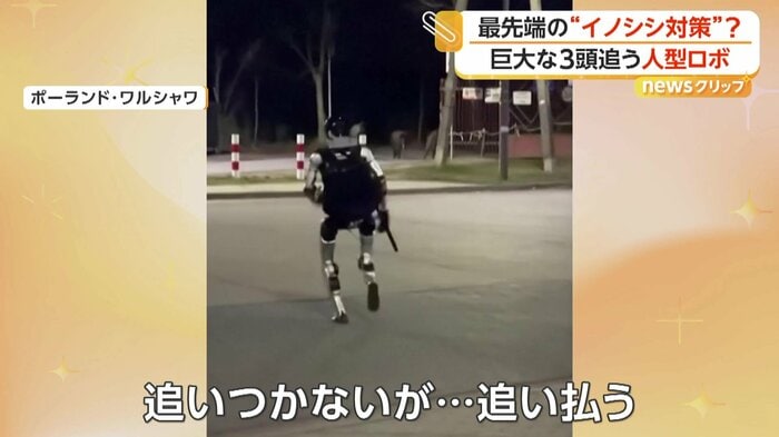 イノシシを追いかけ続け、追い払ったロボット（Edward Warchocki）