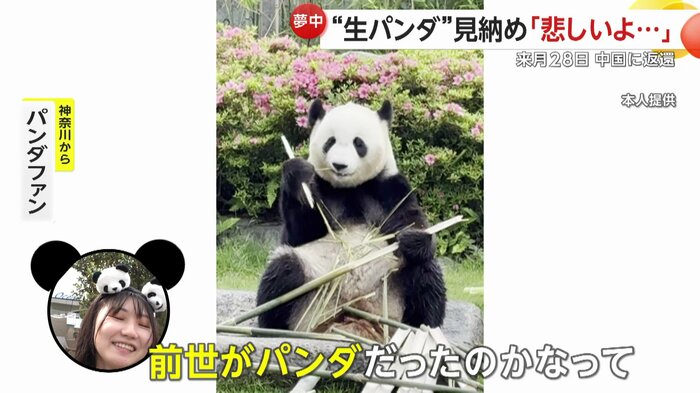 神奈川からのパンダファン