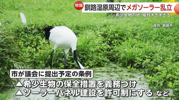 釧路市は建設許可制など盛り込んだ条例を提出予定