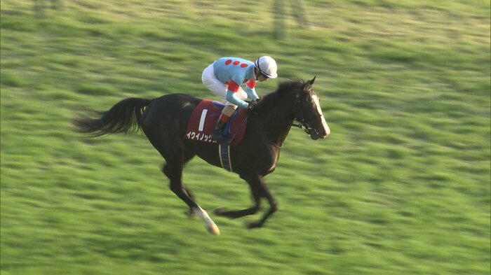 東京スポーツ杯2歳Sを制したイクイノックス