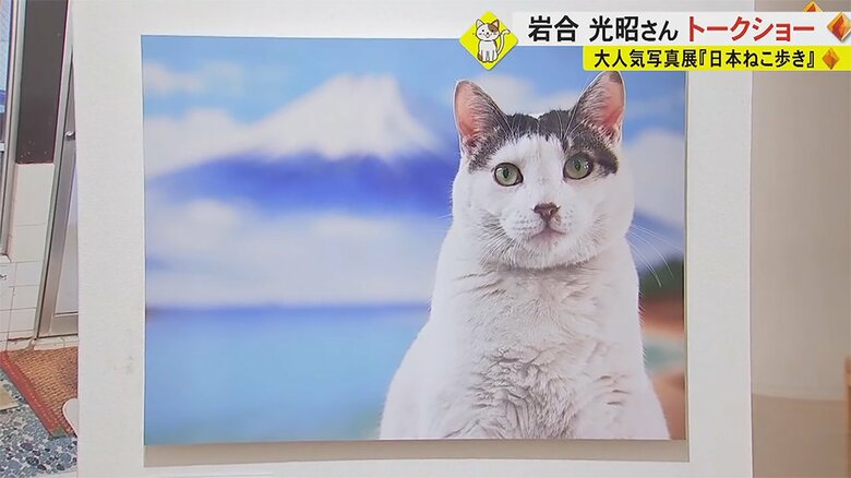 うまく猫を撮る秘訣は“会話”  写真展「日本ねこ歩き」で岩合光昭さんがトークショー「お気に入りの1枚見つけて」｜FNNプライムオンライン