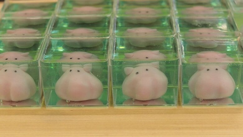 「めっちゃ泳いでいるw」生成AIで動かした“練切のメンダコ”から目が離せない！実際はどんな和菓子なのか職人に聞いた｜FNNプライムオンライン