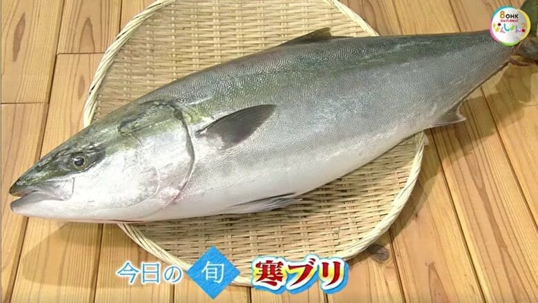 【瀬戸内旬紀行】脂が乗って濃厚な味わい！市場のプロに聞く冬の味覚「寒ブリ」の選び方【岡山・香川】｜FNNプライムオンライン
