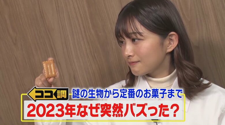 謎の生物「サカバンバスピス」に“猫毛布” 「しるこサンド」に注文殺到　2023年突然バズったモノたち…その理由を調査｜FNNプライムオンライン