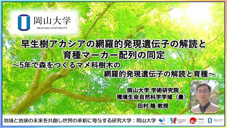 【岡山大学】早生樹アカシアの網羅的発現遺伝子の解読と育種マーカー配列の同定~5年で森をつくるマメ科樹木の網羅的発現遺伝子の解読と育種~