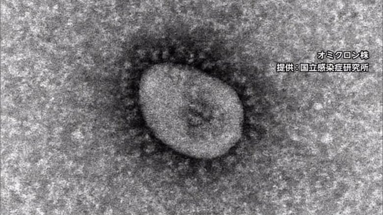 オミクロン株の感染力は「速い」　ウイルス特性で感染拡大・制御が変化する可能性