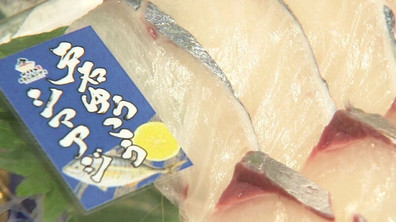 「一時は廃業寸前に…」赤潮被害からの“復活”　長崎のブランド魚「戸石ゆうこうシマアジ」が販売再開｜FNNプライムオンライン
