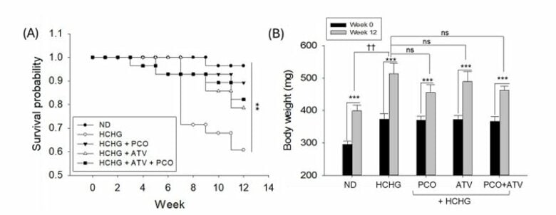 スタチン治療環境下での新たな可能性を前臨床で示唆。キューバ産ポリコサノール併用研究が国際学術誌に掲載