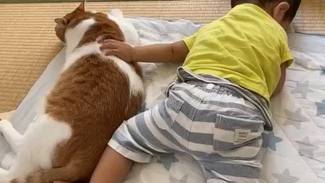 提供：Hassakuさん