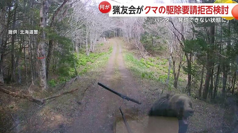 ヒグマが車に突進してフロントガラスとワイパーを破壊する様子