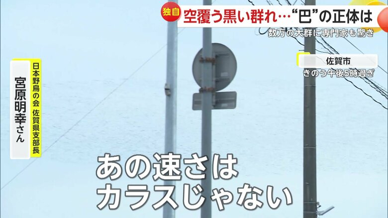 「あの早さはカラスじゃない」と話す、日本野鳥の会・佐賀県支部長の宮原明幸さん