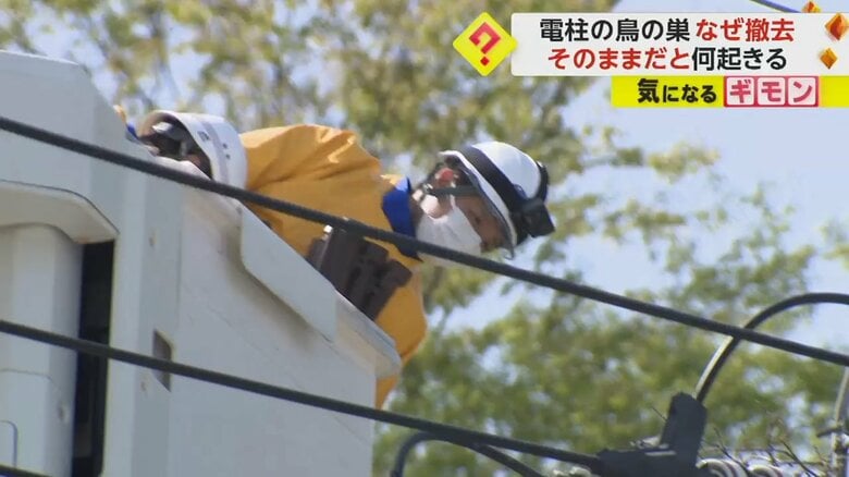 作業員がクレーンで電線の高さまで上がっている