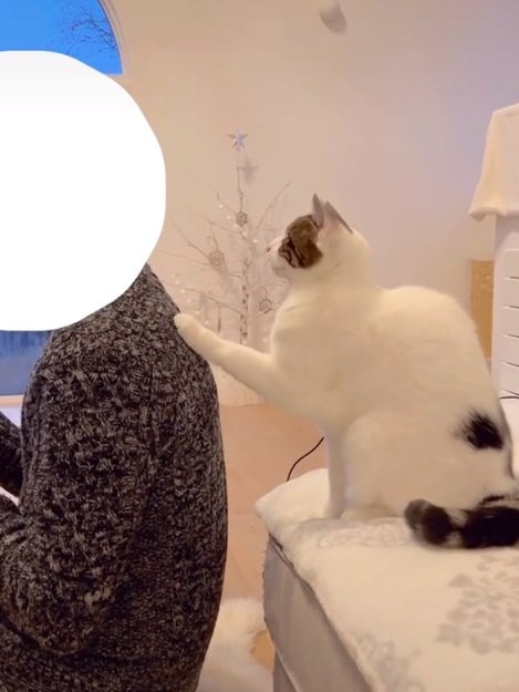 かまってほしいうずらちゃん