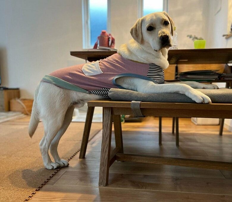 微妙な体勢で着席