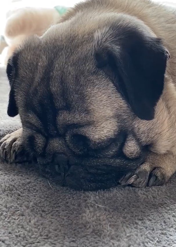 提供：ボンさん