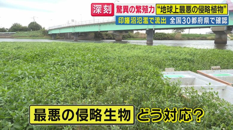 処理方法は（関西テレビ「旬感LIVE とれたてっ！」より）