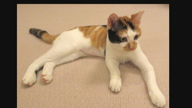 美海（皇后さま撮影　宮内庁提供）