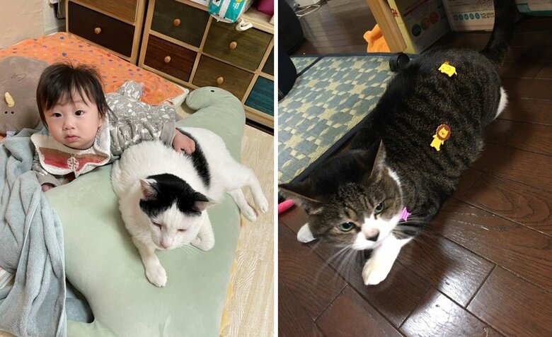 （左）息子さんと米朝くん （右）娘さんに“デコ”られてしまったというこばんちゃん
