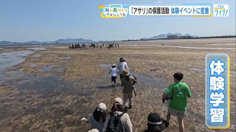 広島市西区の八幡川河口