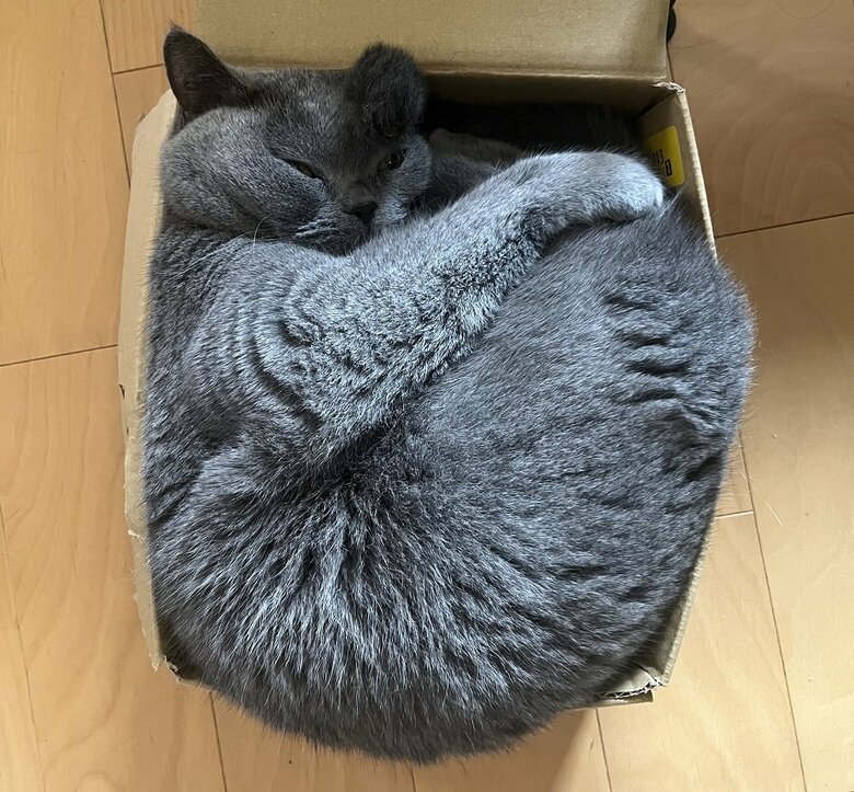 少し狭い箱にも収まる柔軟性